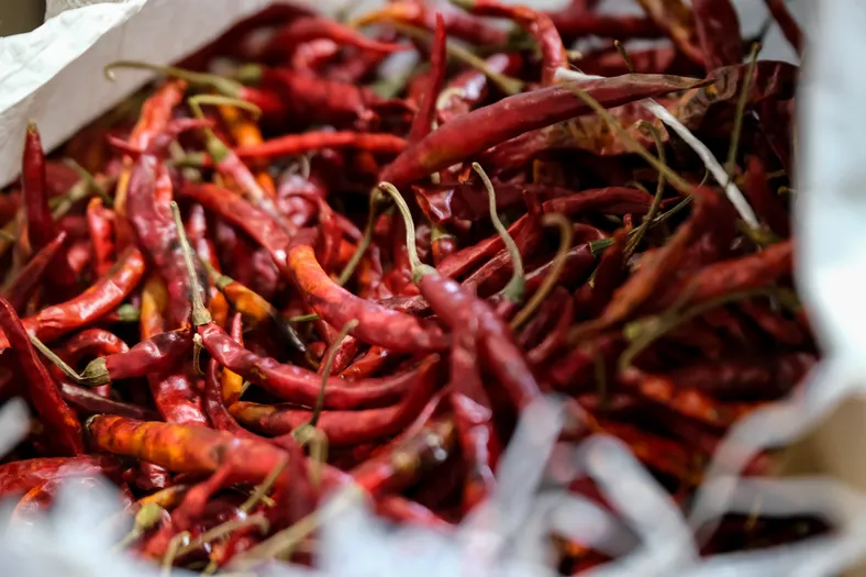 Chiles de árbol secos de Yahualica